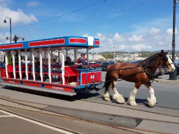 Horse Trams