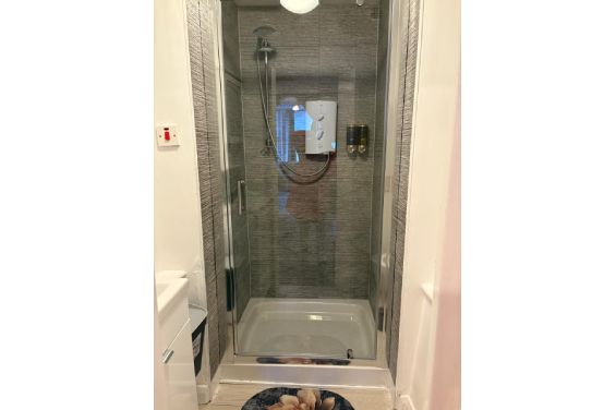 Deluxe Room - shower